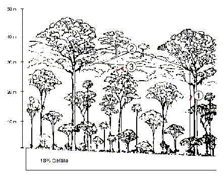 climbing system