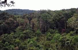 stand structure