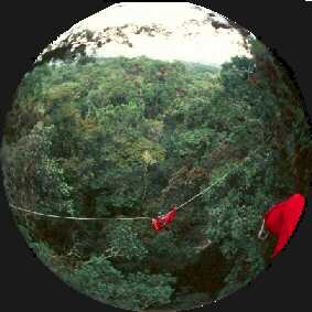 fisheye