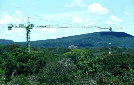 Crane