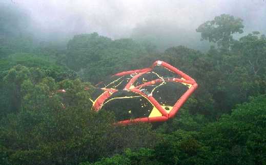 canopy raft